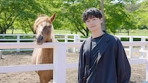 瀬戸康史が岩手を満喫する「美しい日本に出会う旅」特別編を2週連続で放送　ナレーションは松下洸平が担当