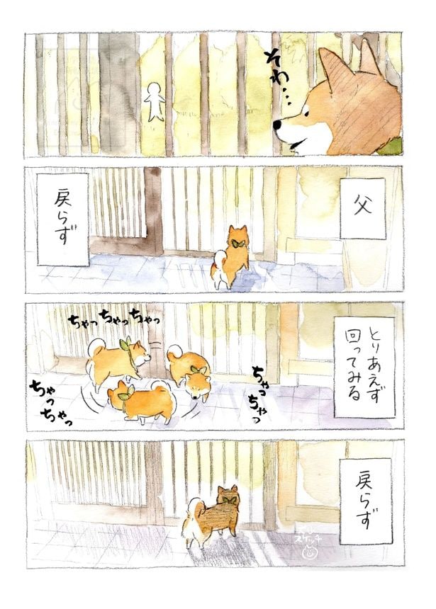 『柴犬ぽんちゃん、今日もわが道を行く／すれ違う心』(3／5)