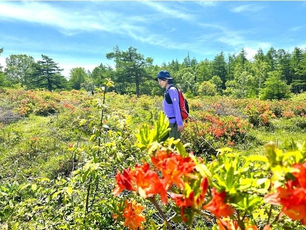 南沢奈央湯ノ丸山・烏帽子岳 (2)