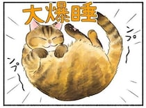 仕事中の飼い主にかまって欲しい猫…隣で寝始めるが擦り寄って来くる姿に「実は見守っているのかも」【漫画】