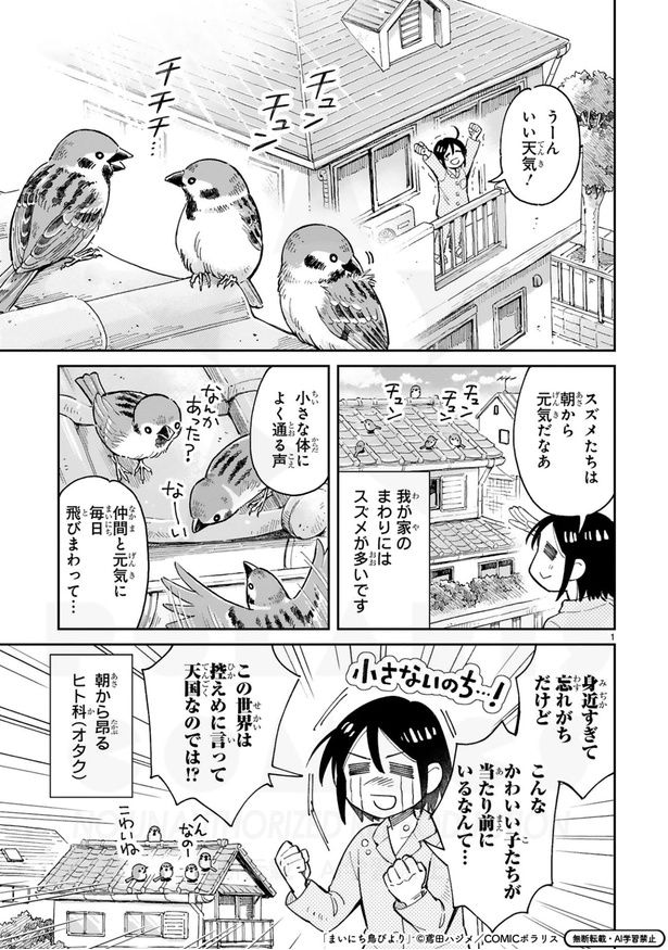 『まいにち鳥びより』より