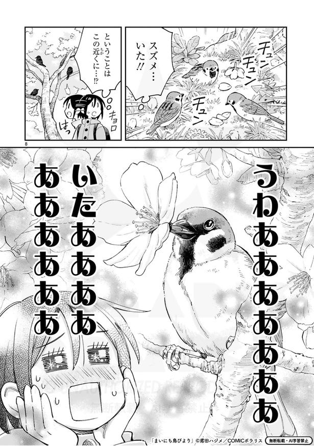 『まいにち鳥びより』より