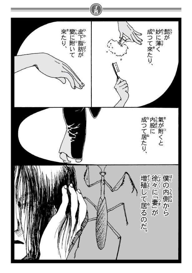 『妻を移植す』より