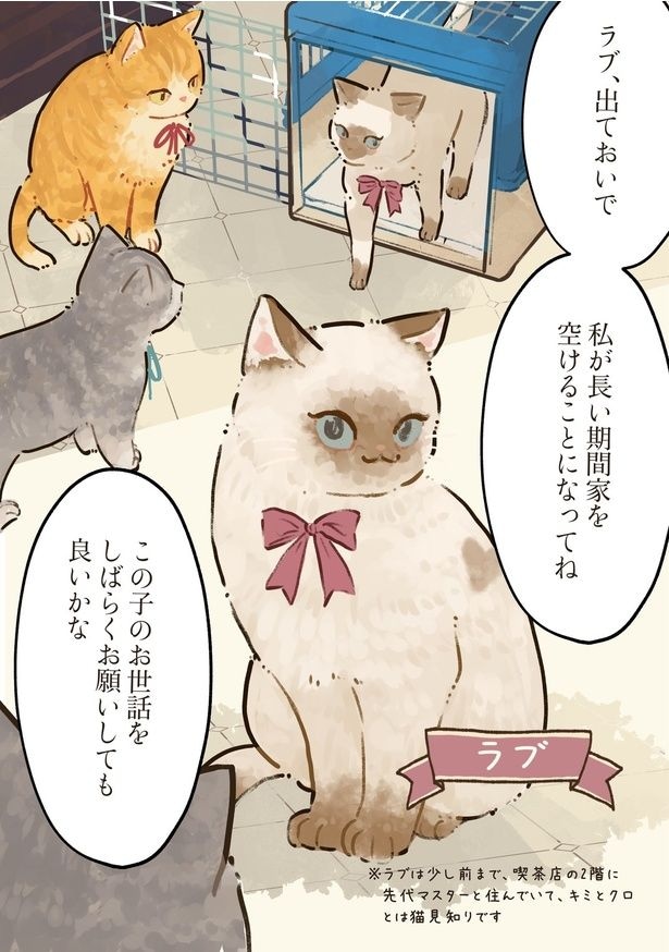 『思いがけないお客さん』(3／9)