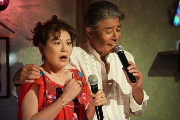 南野陽子
