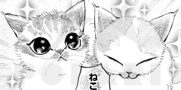 『ねこのニヤ』が話題
