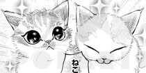 1才のオス猫はふわふわキュートなのに、お口は“魚市場”…愛猫との楽しい生活に「わかりみしかない…」の声【漫画】