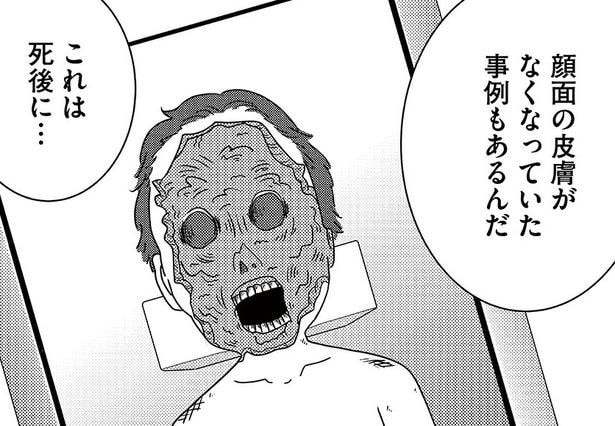【漫画】「わずか24時間で人間の顔を白骨化させた」人間の肉を食い尽くした“小さすぎる犯人”の正体とは!?