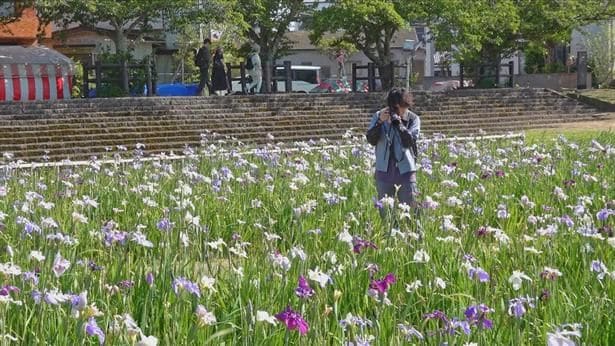「ニッポン美景めぐり」より