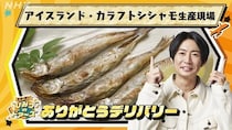 相葉雅紀、カラフトシシャモの検品の裏側に驚き「卵が詰まっているのは偶然じゃなかった」＜世界で開け！ひみつのドアーズ＞