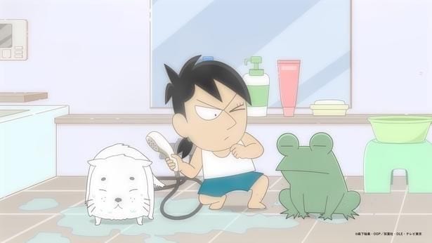 <小3アシベ QQゴマちゃん>スガオくんが飼い猫のミケロットをお風呂に入れることに…第14話あらすじ&先行カット公開