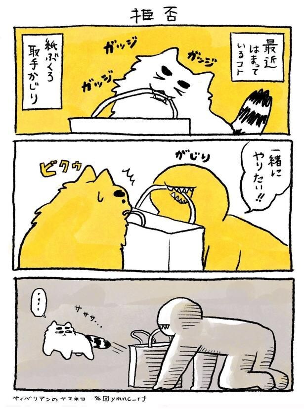 『GWヤマネコレポートまとめ』(1/11)