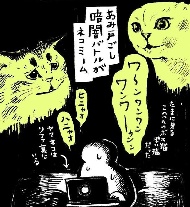 猫のサイベリアンは甘えん坊だけど、暗闇でボス猫とバトル?飼い主との相思相愛の様子に「癒された」と反響【漫画】