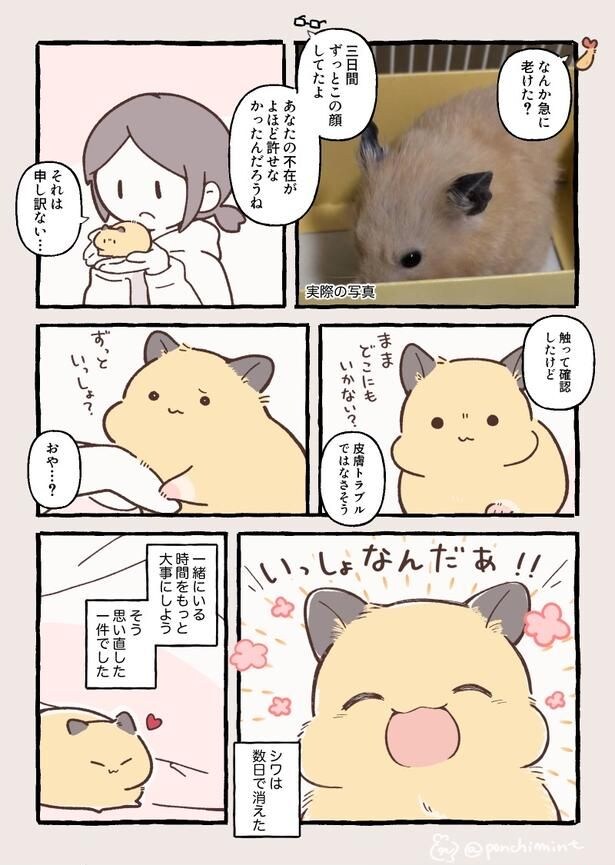 『さみしがりハムスターと2泊3日離れたら大変なことになった話』(2／2)