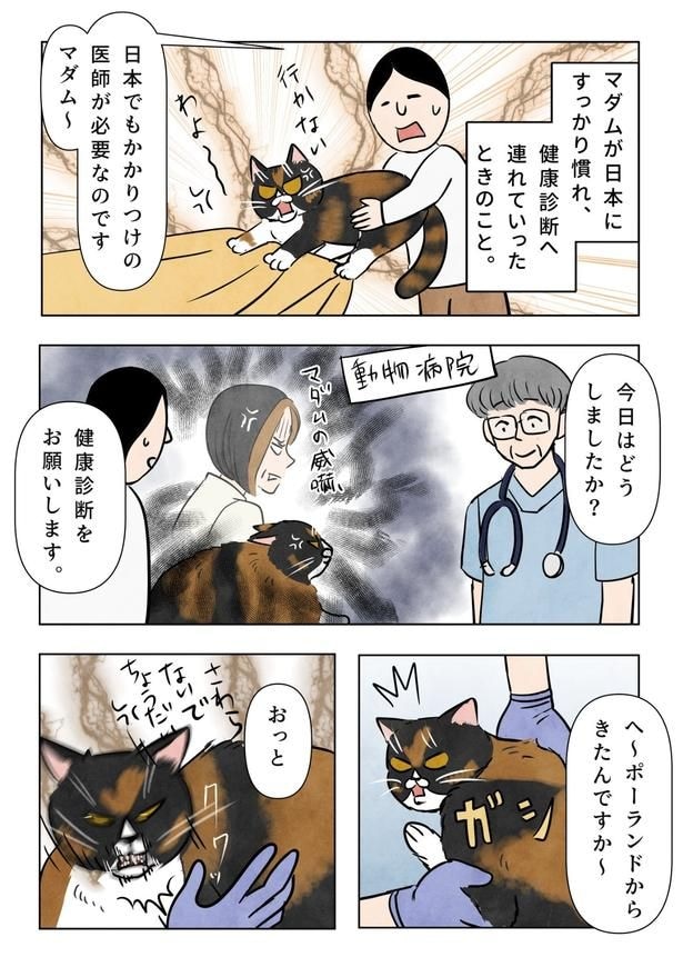 『マダム、日本でのかかりつけ医師を探す』(1/3)