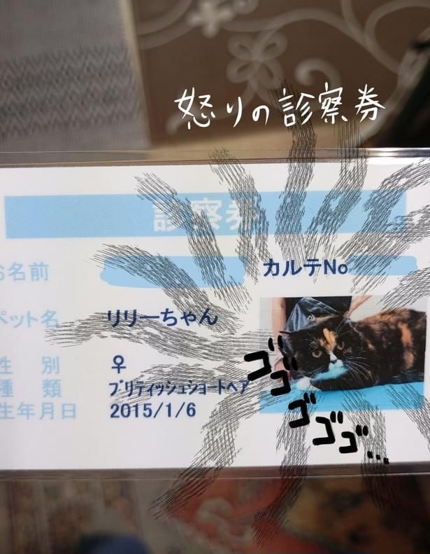 『マダム、日本でのかかりつけ医師を探す』(3/3)