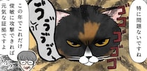 ポーランドからやってきた“マダム猫”が日本で初の健康診断…受診後に作成した“怒りの診察券”に「笑った」【漫画】