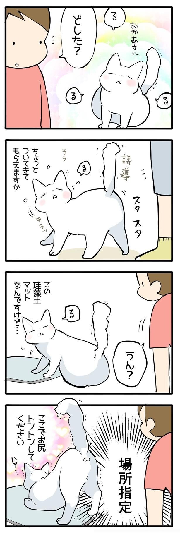 『ついてこいと呼ばれました』