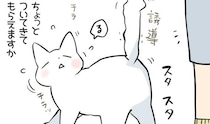 お気に入りの場所で“お尻トントン”をしてほしい猫…飼い主を誘導する様子に「癒された」の声【漫画】