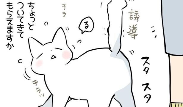 お気に入りの場所で“お尻トントン”をしてほしい猫…飼い主を誘導する様子に「癒された」の声【漫画】