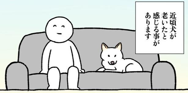 シニア犬のチョビと飼い主の様子