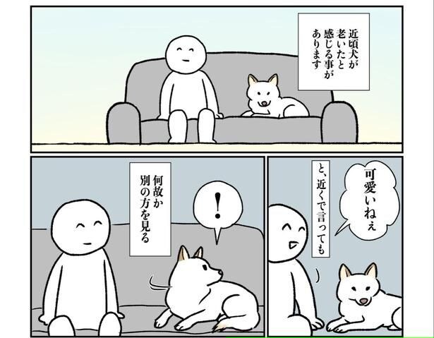 飼い主の「可愛いねぇ」の声と違う方向に反応するチョビ