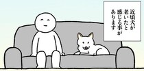 飼い主が褒めても違う方向に反応するシニアの柴犬…“声の出どころ”を探す様子に「老いても愛おしい」【漫画】