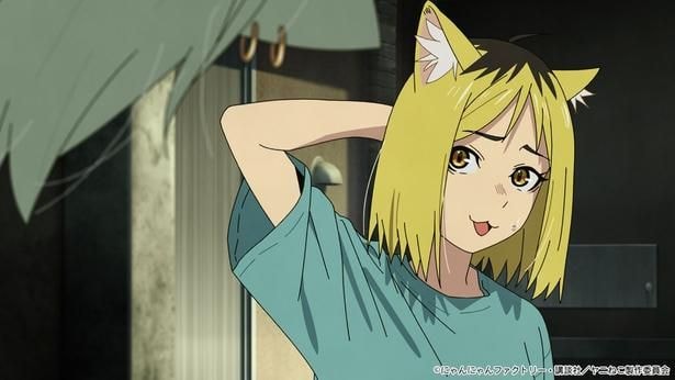 <ヤニねこ>隣人の後輩・ヤクねこに“自由な生き方”を語るヤニねこ…第2話あらすじ&先行カット公開