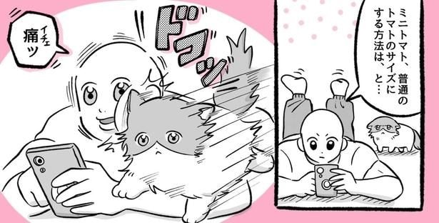 体当たりしてくる“めぐちゃん”