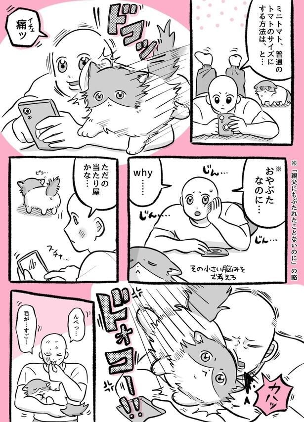ねこ漫画『ちゃまろ』第190話