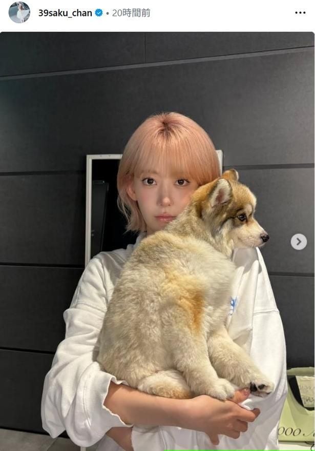 【写真】LE SSERAFIM・SAKURA、ワンちゃんを抱っこ