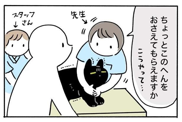 『黒猫ろんと暮らしたら/動物病院でちょっと恥ずかしくてかなりうれしかった絵日記です』より