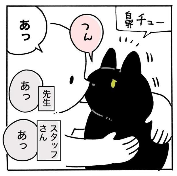 『黒猫ろんと暮らしたら/動物病院でちょっと恥ずかしくてかなりうれしかった絵日記です』より