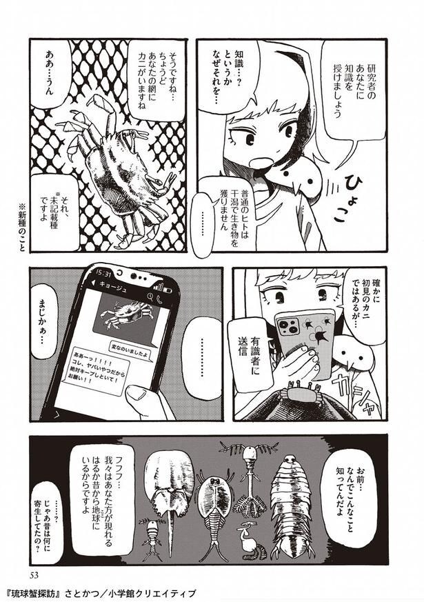 『干潟備忘録』より