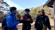 所ジョージ「彼らも持ってますよね」　桝太一らのタスマニア取材企画が科学技術映像祭優秀賞を受賞＜所さんの目がテン！＞