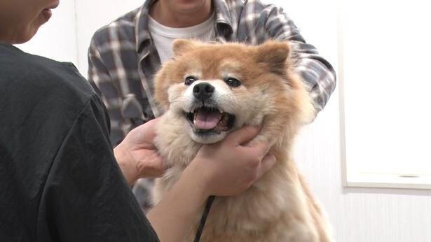 7月18日(土)放送の「嗚呼!!みんなの動物園」より