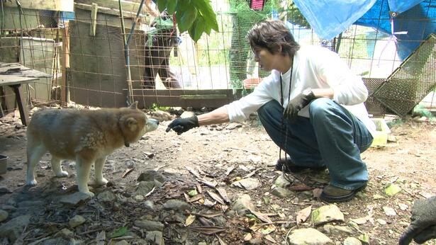 7月18日(土)放送の「嗚呼!!みんなの動物園」より