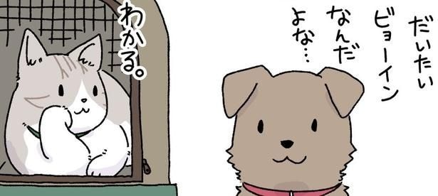 動物病院の待合室で会話する犬と猫
