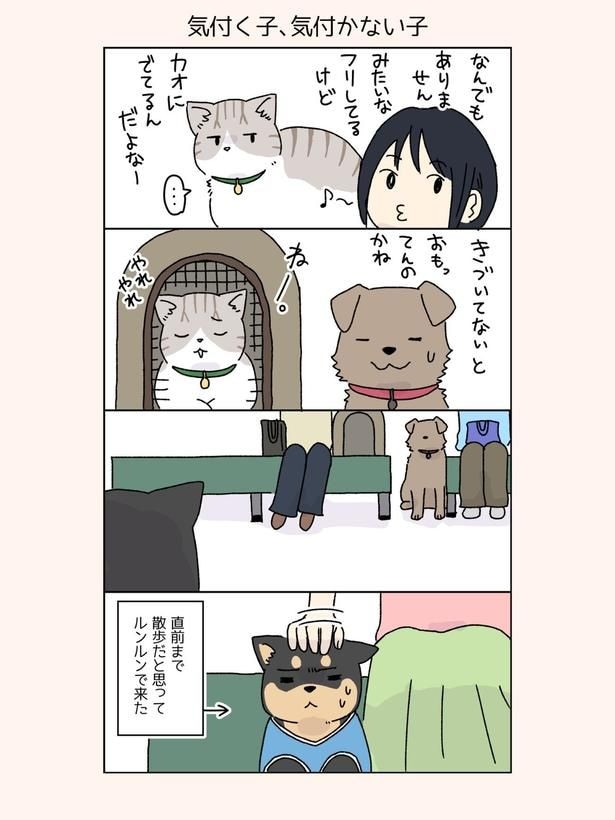 『だいたい察されてる話』(2/2)