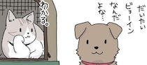 待合室で犬と猫が世間話…“動物病院に連れて行く前の飼い主あるある”に「まさにその通り」と共感の声【漫画】