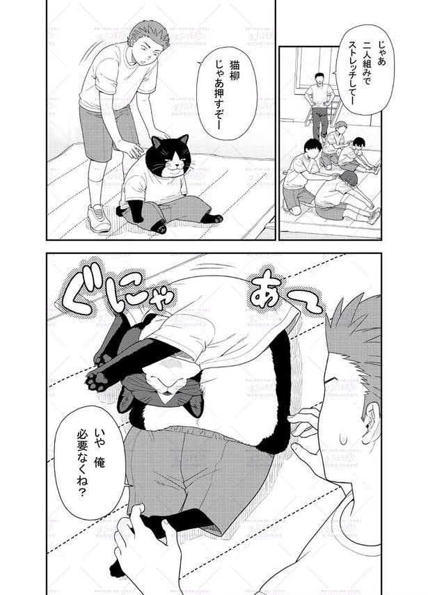 『身体の柔らかさが自慢な男の子の漫画』(1/2)