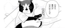 “猫の男の子”が人にまぎれて体育の授業でストレッチ…腹のお肉をつかまれる展開に「表情がたまらない」【漫画】