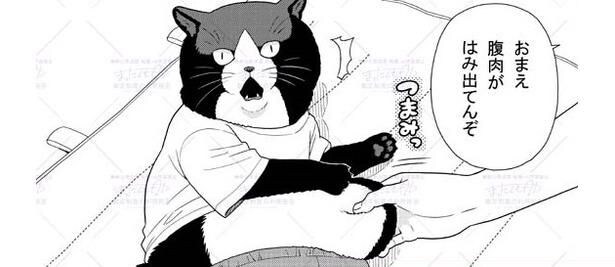 “猫の男の子”が人にまぎれて体育の授業でストレッチ…腹のお肉をつかまれる展開に「表情がたまらない」【漫画】