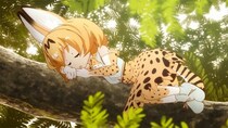 アニメ『けものフレンズ』第1期＆第2期をABEMAにて全話無料一挙放送