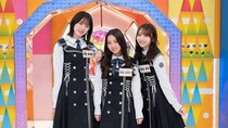 日向坂46藤嶌果歩「家に黒いバナナがあります」蔵盛妃那乃との“共通点”を告白し、メンバー爆笑＜まだまだ！日向坂で会いましょう＞