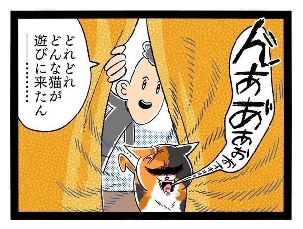 『のぞきの被害にあった話』(2/12)
