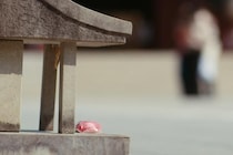 ＜VIVANT＞第1シーズンが1100万回再生＆お気に入り登録220万突破　第2シーズンは祠に置かれた“赤い饅頭”で開幕