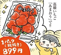 【漫画】お高めフルーツ「いちご」を今月のごほうびに。予算1000円なら普段は買いにくい高級種も選べる