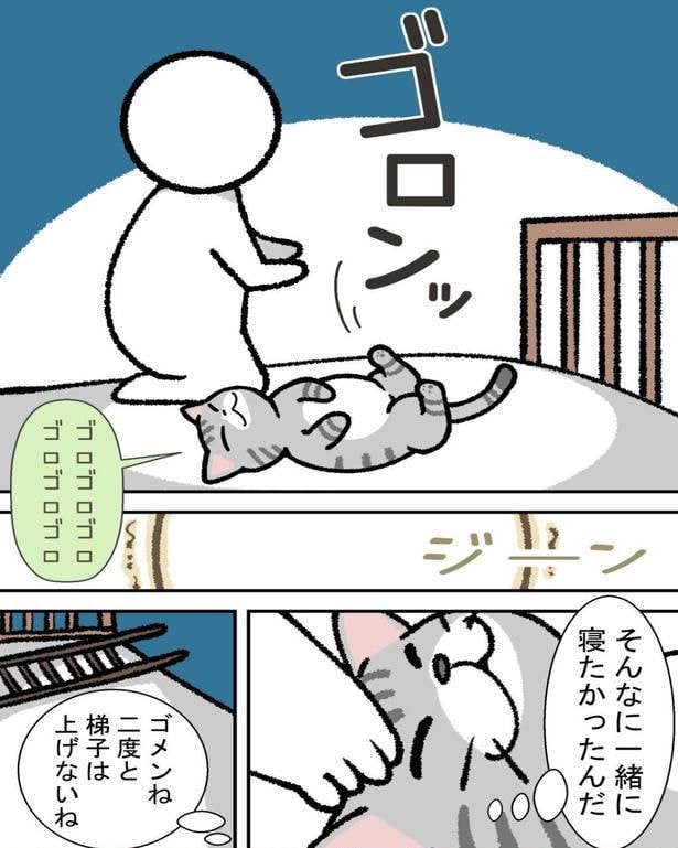 『猫を飼ったら不眠症が治った話』より