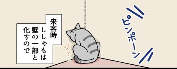 来客後、愛猫が行方不明に…必死に探しても見つからず吐きそうになる飼い主に「生きた心地しないよね」と共感の声【漫画】